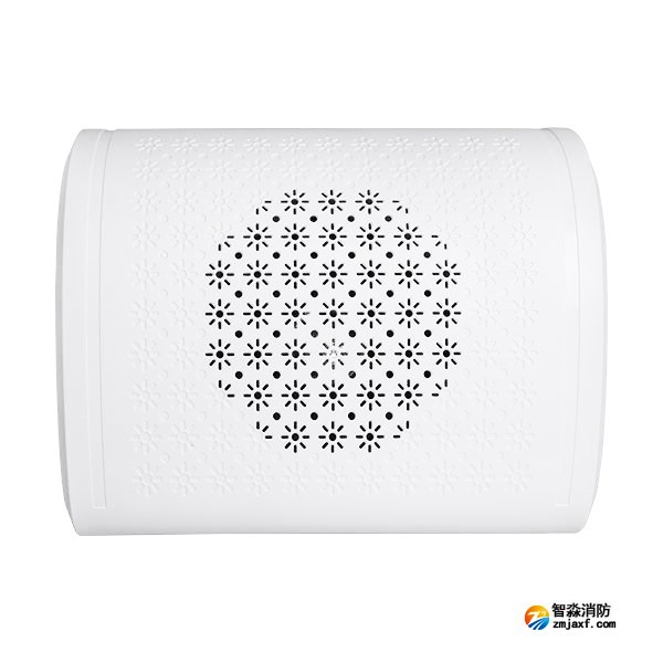 海湾HY6253壁挂扬声器