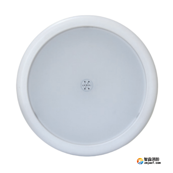 海湾HW-ZFJC-E15W-N654SG集中电源集中控制型消防应急照明灯具