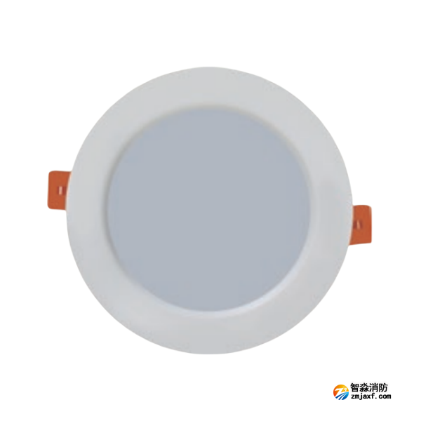 海湾HW-ZFJC-E3W-VN650应急照明灯