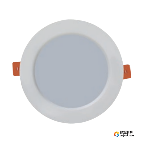 海湾HW-ZFJC-E6W-VN651消防应急照明灯