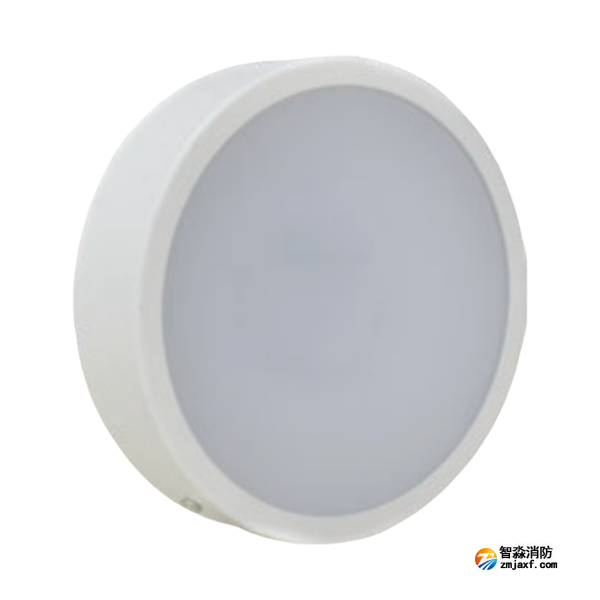 海湾HW-ZFJC-E6W-VN651C消防应急照明灯