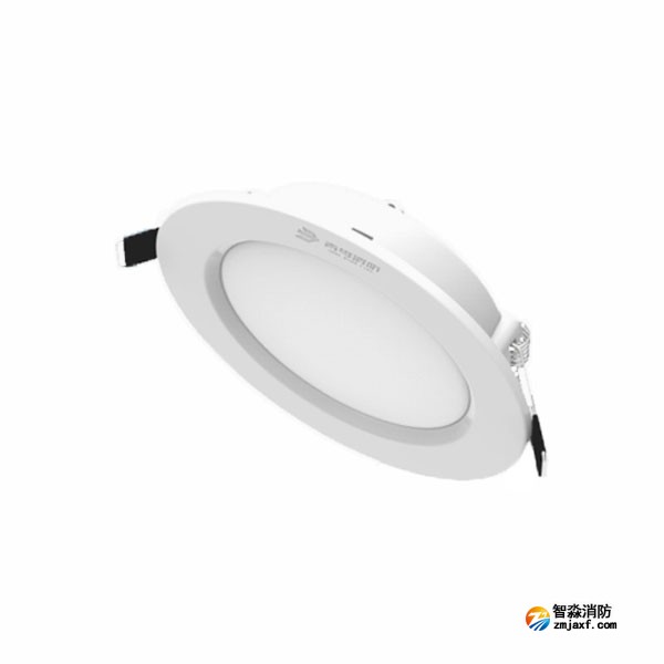 青鸟J-ZFZC-E12W-16Q1LD自带电源集中控制型消防应急照明灯具 嵌顶