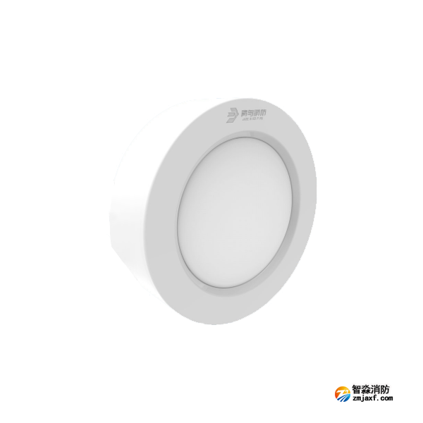 青鸟J-ZFJC-E12W-16X2L集中电源集中控制型消防应急照明灯