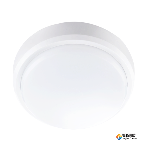 青鸟J-ZFJC-E5W-17X2A集中电源集中控制型消防应急照明灯具(吸顶)