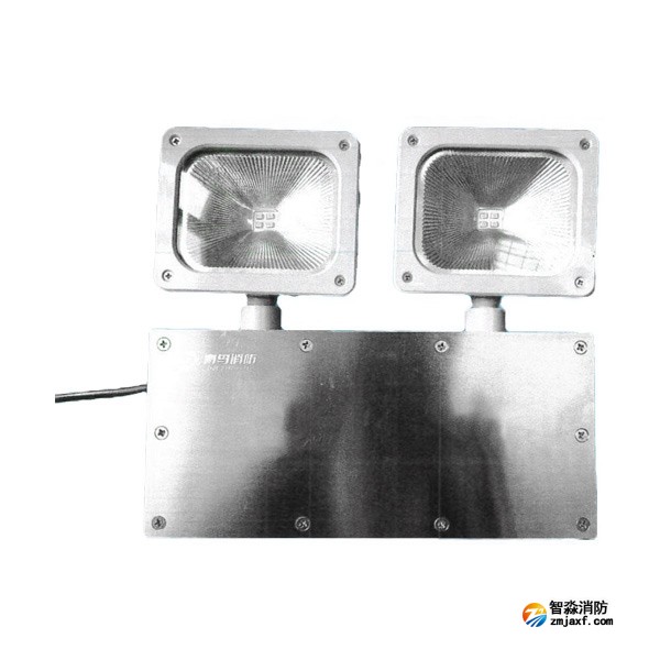 青鸟J-ZFJC-E5W-17B3集中电源集中控制型消防应急照明灯具