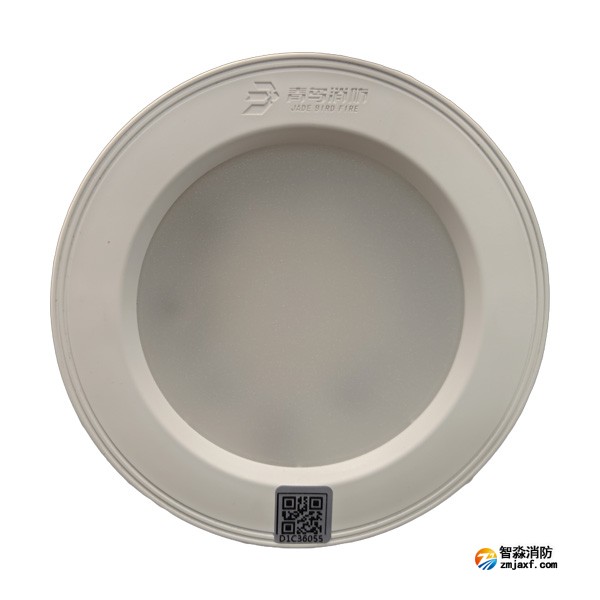 青鸟J-ZFJC-E5W-17Z7A集中电源集中控制型消防应急照明灯具