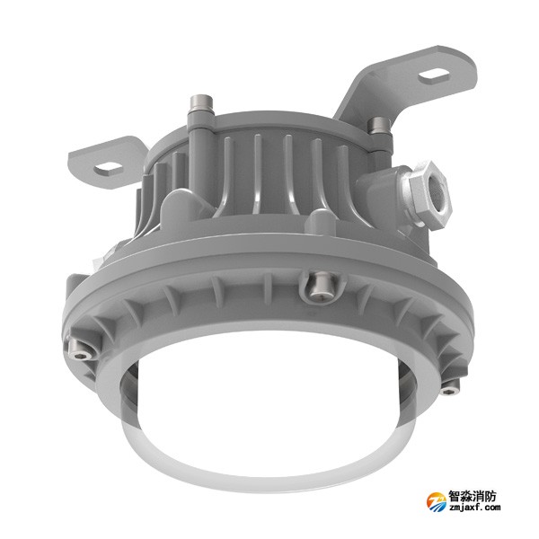 青鸟J-ZFJC-E3W-16X4-Ex集中电源集中控制型消防应急照明灯具 防爆 吸顶灯