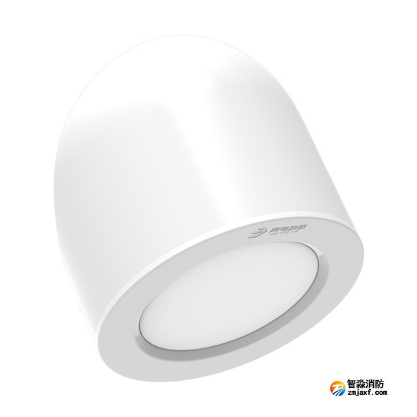 青鸟J-ZFJC-E5W-17Z7LA集中电源集中控制型消防应急照明灯具