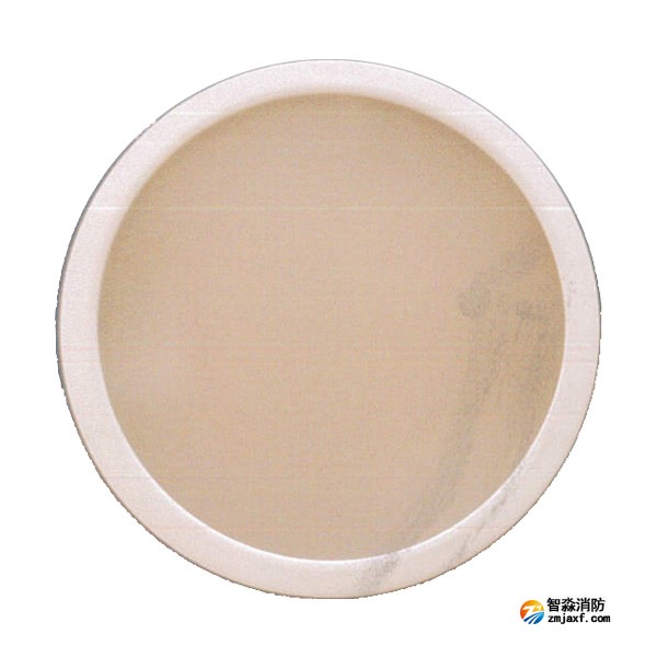 青鸟J-ZFJC-E15W-17Z15LA集中电源集中控制型消防应急照明灯具