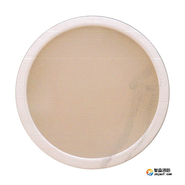 青鸟J-ZFJC-E12W-17Z14A集中电源集中控制型消防应急照明灯具