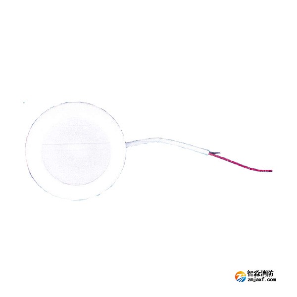 青鸟J-ZFJC-E5W-17QBLA集中电源集中控制型消防应急照明灯具