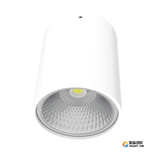 青鸟J-ZFJC-E20W-18Z2A集中电源集中控制型消防应急照明灯具