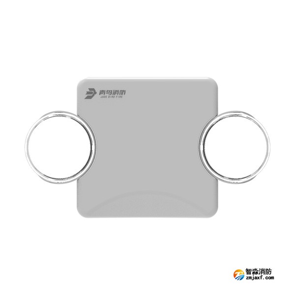 青鸟J-ZFJC-E6W-17B6LA集中电源集中控制型消防应急照明灯具