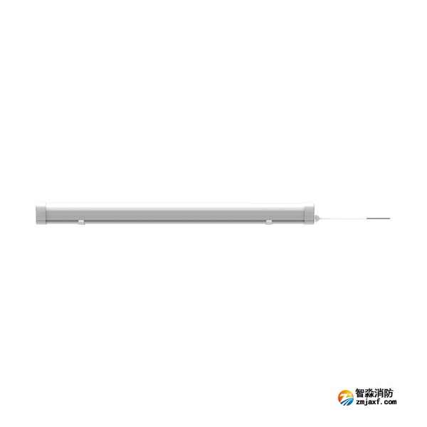 青鸟J-ZFJC-E5W-17Z3A集中电源集中控制型消防应急照明灯具