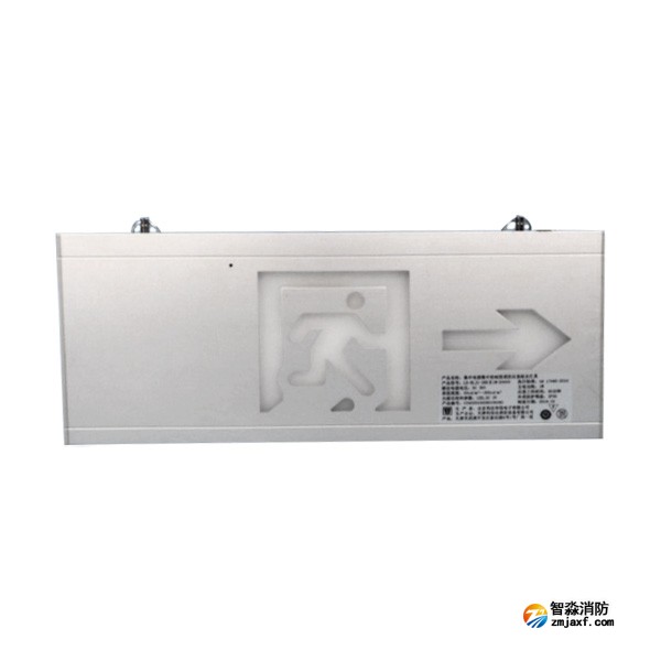 利达LD-BLJC-2RE II 1W-D3005集中电源集中控制型消防应急标志灯具