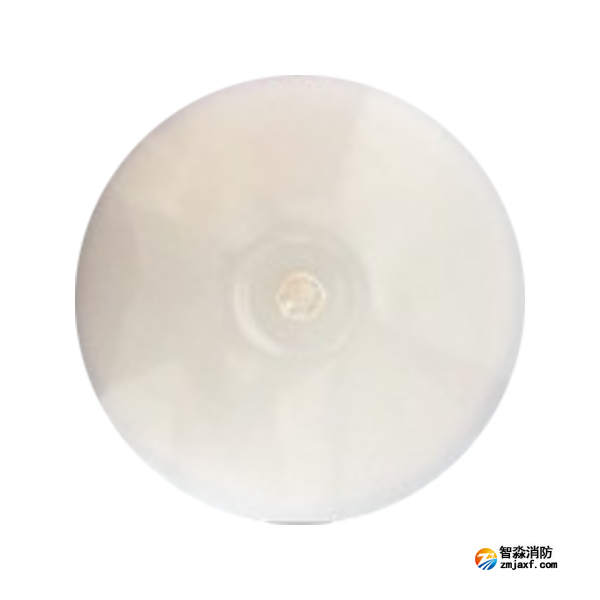 泰和安TS-ZLZC-E12W-6641G自带蓄电池集中控制型消防应急照明灯具 吸顶式