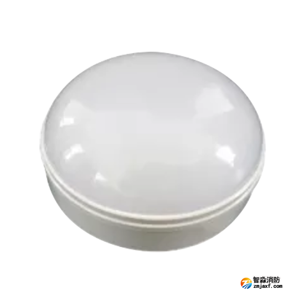 泰和安TS-ZLZC-E5W-6640自带蓄电池集中控制型消防应急照明灯具 吸顶式