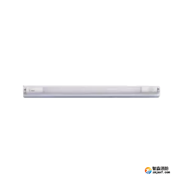 泰和安TS-ZFJC-E9W-6620A集中电源集中控制型消防应急照明灯具 T8灯管