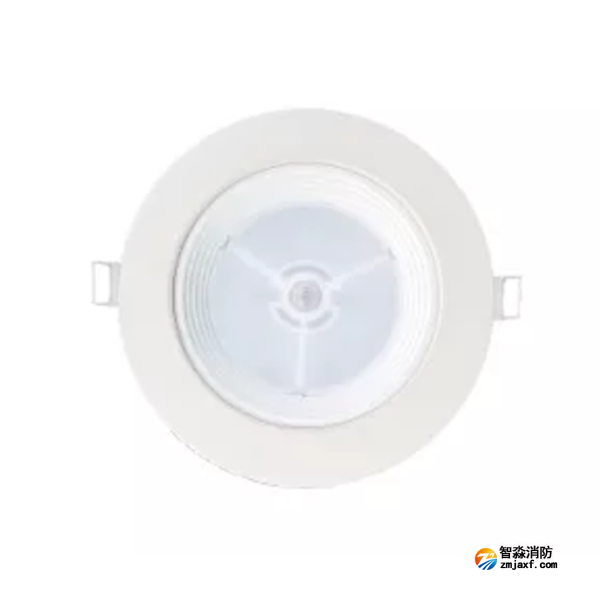 泰和安TS-ZFJC-E8W-6611B集中电源集中控制型消防应急照明灯具 嵌顶式