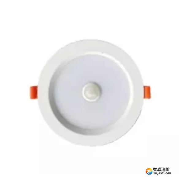 泰和安TS-ZFJC-E5W-6624G集中电源集中控制型消防应急照明灯具 嵌顶式