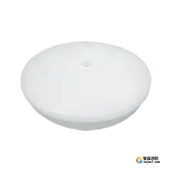 泰和安TS-ZFJC-E8W-6627G集中电源集中控制型消防应急照明灯具 吸顶式