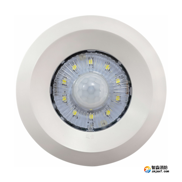 依爱EI-ZFJC-E2W-5405X-2HW集中电源集中控制型消防应急照明灯具 可红外感应