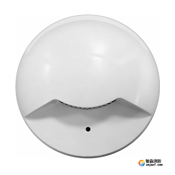 依爱EI-ZFJC-E2W-5405B-2集中电源集中控制型消防应急照明灯具