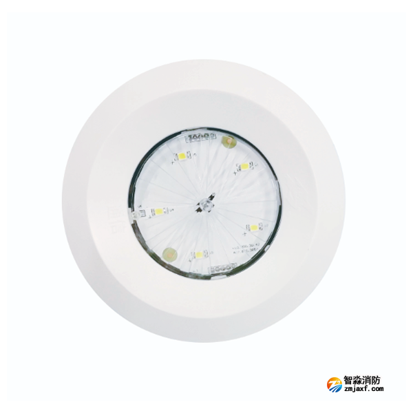 依爱EI-ZFJC-E3W-8643X集中电源集中控制型消防应急照明灯具