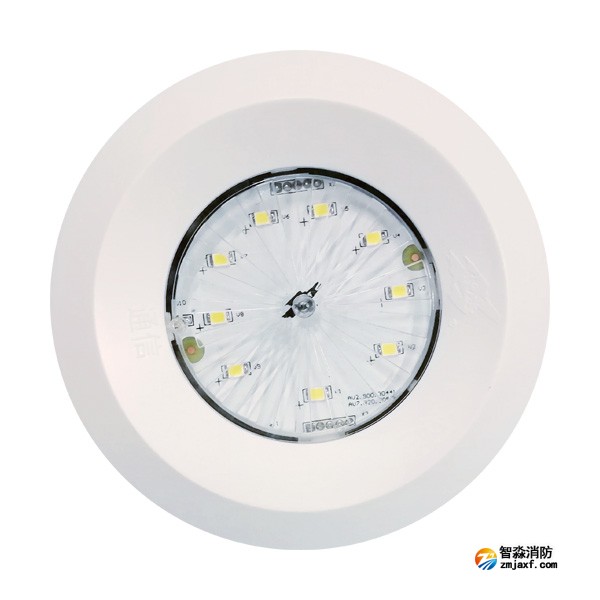 依爱EI-ZFJC-E5W-8645NX集中电源集中控制型消防应急照明灯具