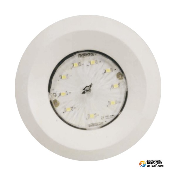 依爱EI-ZFJC-E5W-8645X集中电源集中控制型消防应急照明灯具 吸顶