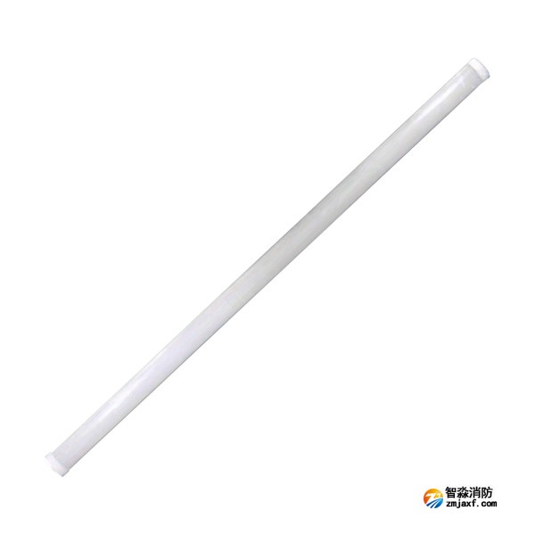 依爱EI-ZFJC-E16W-8616NG/L集中电源集中控制型消防应急照明灯具 雷达感应 灯管
