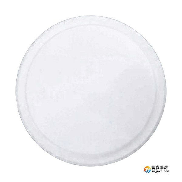 依爱EI-ZFJC-E5W-8645NXLD集中电源集中控制型消防应急照明灯具 吸顶式