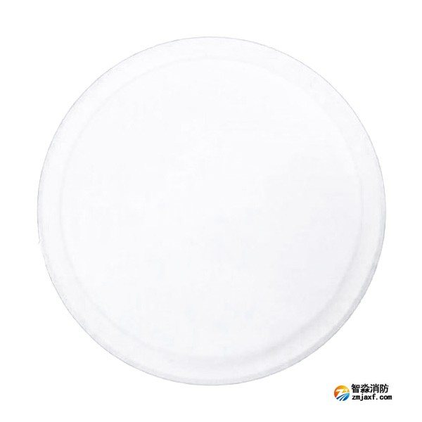 依爱EI-ZFJC-E3W-8643NXLD集中电源集中控制型消防应急照明灯具 吸顶式