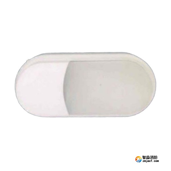 依爱EI-ZFJC-E8W-8648NB集中电源集中控制型消防应急照明灯具 壁挂