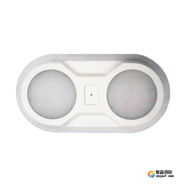 依爱EI-ZFJC-E5W-S8645BB集中电源集中控制型消防应急照明灯具 双头壁挂