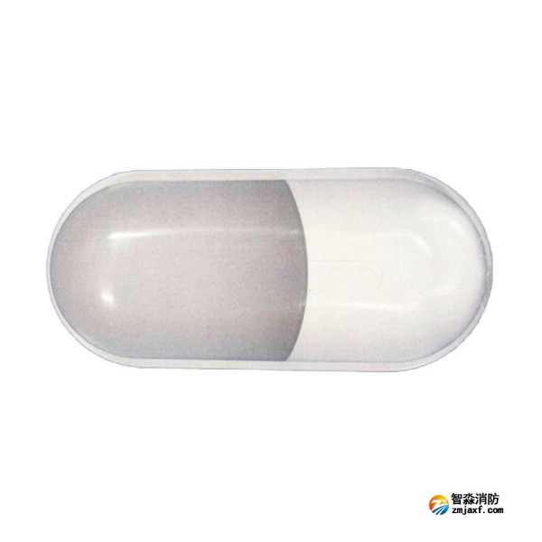 依爱EI-ZFJC-E5W-8645BB集中电源集中控制型消防应急照明灯具 单头壁挂