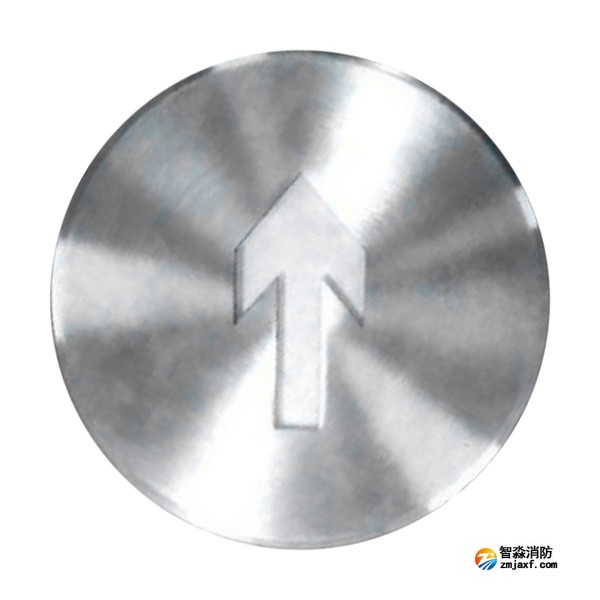 依爱EI-BLJC-1LEⅠ1W-8639NM集中电源集中控制型消防应急标志灯具 单面 地埋