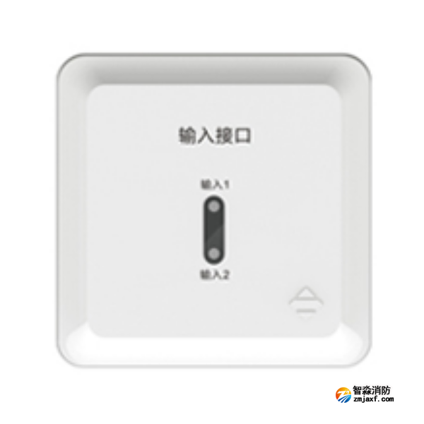 三江FJ-JS-303输入接口