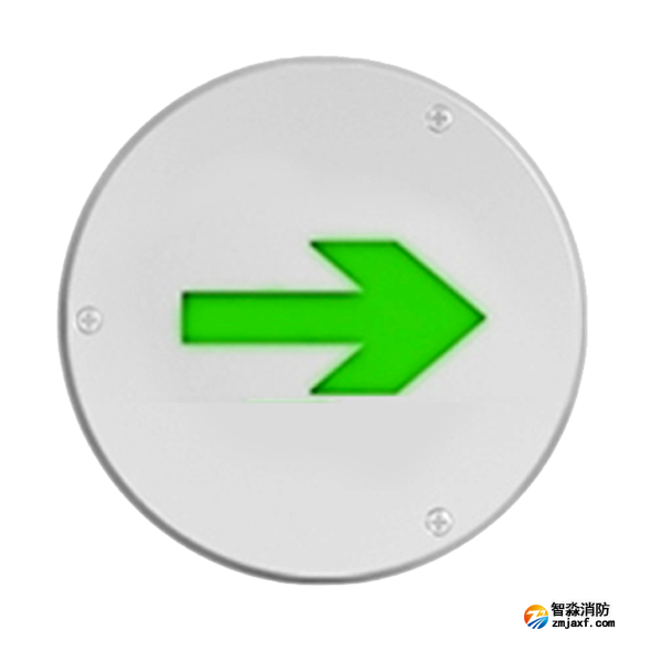 三江SJ-BLJC-Ⅰ1LE3W/DZ2型 SJ-BLJCⅠ1LRE3W/DZ1型 地埋单向标志灯