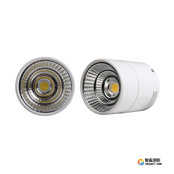 三江SJ-ZFJC-E15W/FZ041集中电源集中控制型消防应急照明灯具