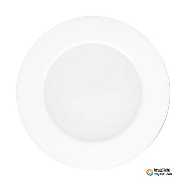 三江SJ-ZFJC-E5W/ZX53集中电源集中控制型消防应急照明灯具