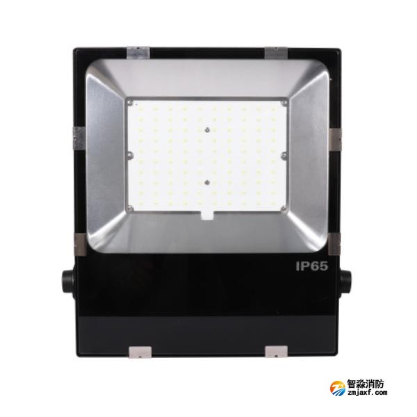 三江SJ-ZFJC-E100W/B011集中电源集中控制型消防应急照明灯具 B型