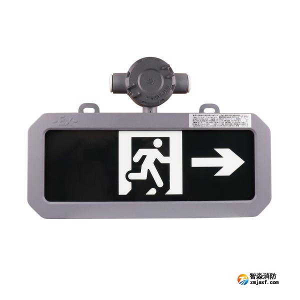 三江SJ-BLJC-Ⅰ1RE1W/E1031右向指示防爆标志灯具