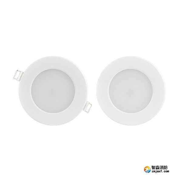 三江SJ-ZFJC-E5W/ZQ53集中电源集中控制型消防应急照明灯具