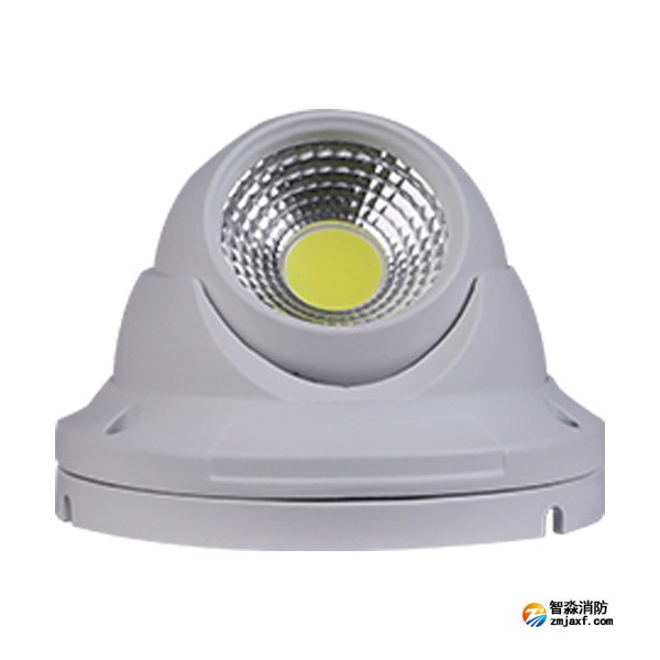 三江SJ-ZFJC-E5W/GZ011集中电源集中控制型消防应急照明灯具