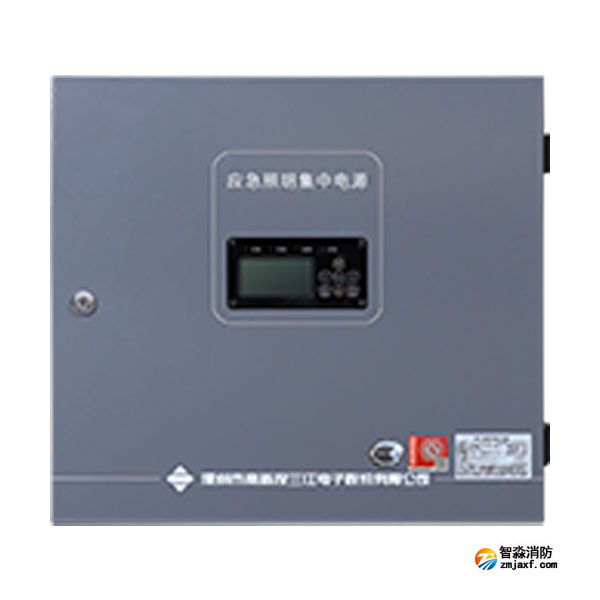 三江SJ-D-0.3KVA/P301BC型应急照明集中电源 8回路
