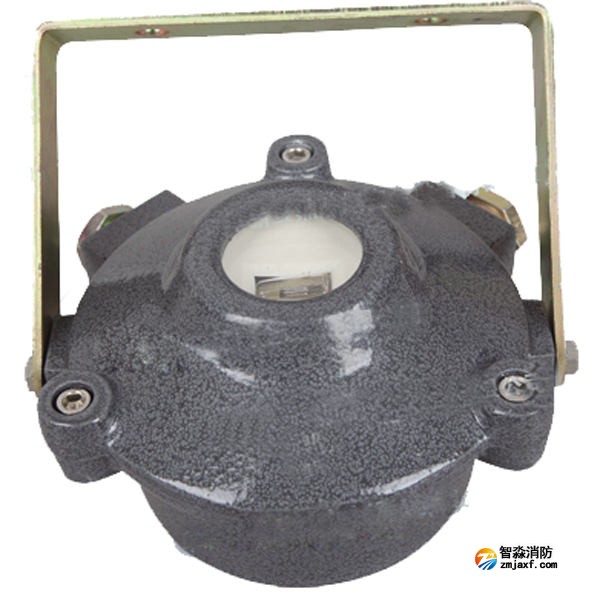 金鼎JTG-ZW-G1B防爆点型紫外火焰探测器