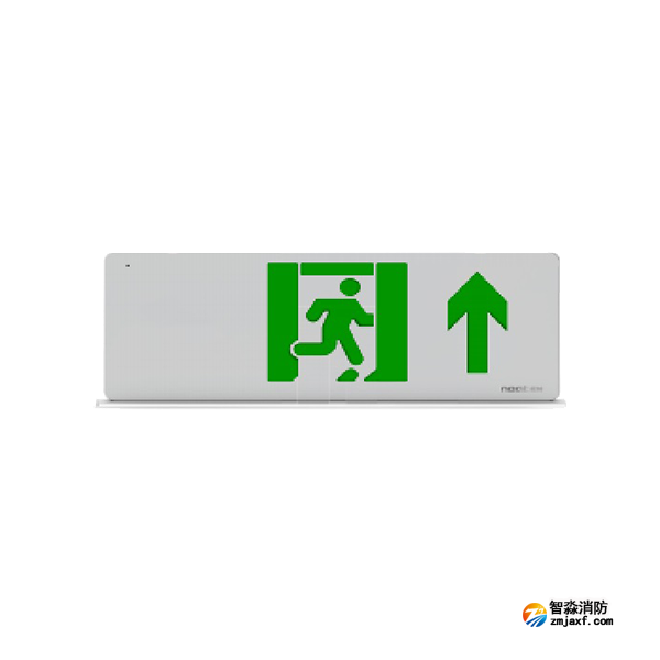 尼特NT-BLJC-2LRXOEII1W-1625集中电源集中控制型消防应急标志灯具