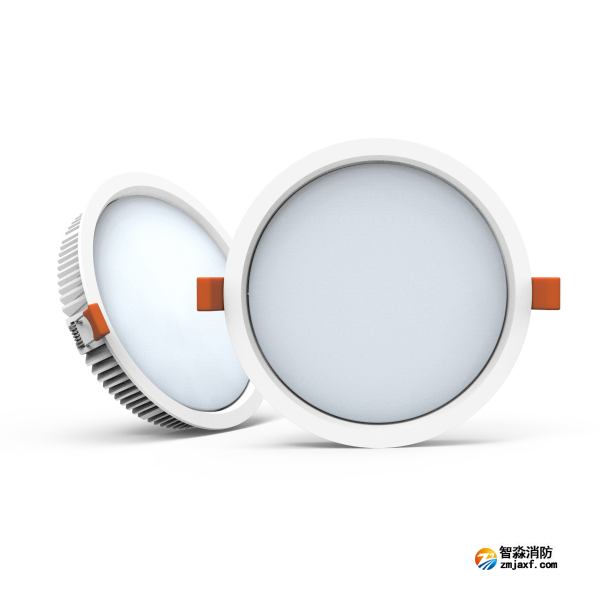 尼特NT-ZFJC-E12W-1313集中电源集中控制型消防应急照明灯具