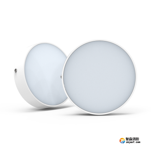 尼特NT-ZFJC-E12W-1312集中电源集中控制型消防应急照明灯具